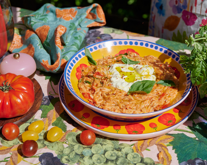 Tomato & Basil Creamy One Pot Orzo by Daen Lia