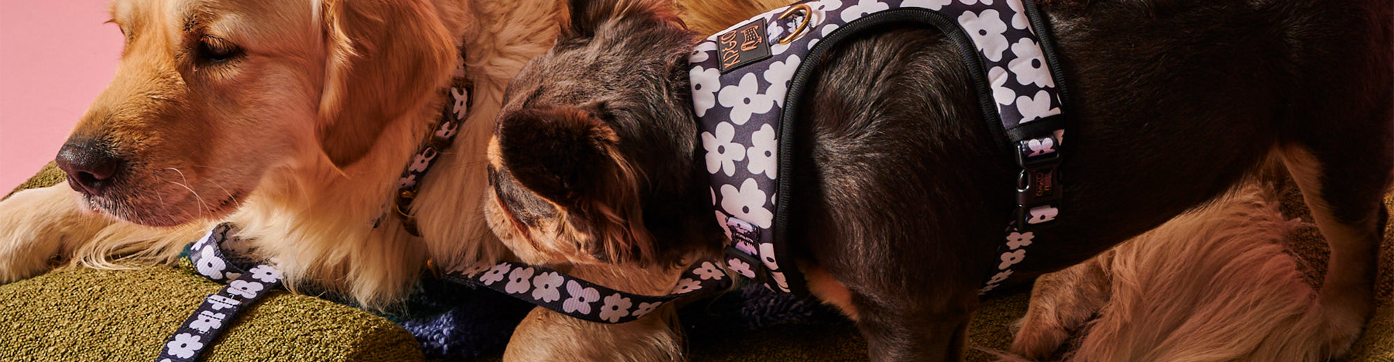 Pet Harnesses & Jackets