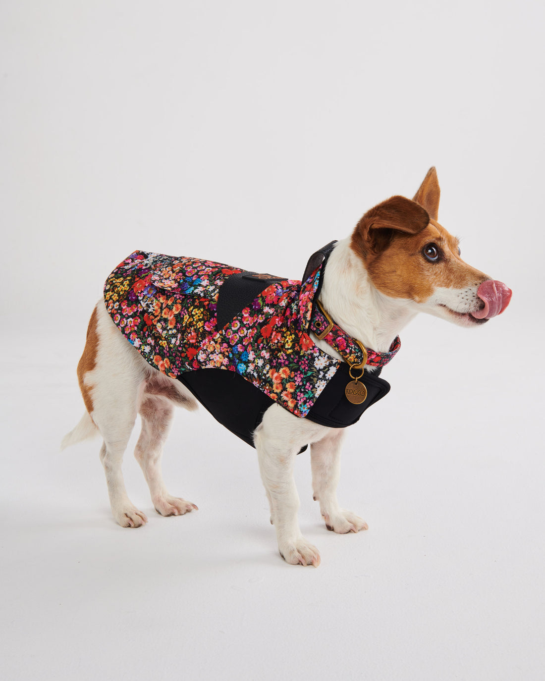 Forever Floral Black Dog Jacket