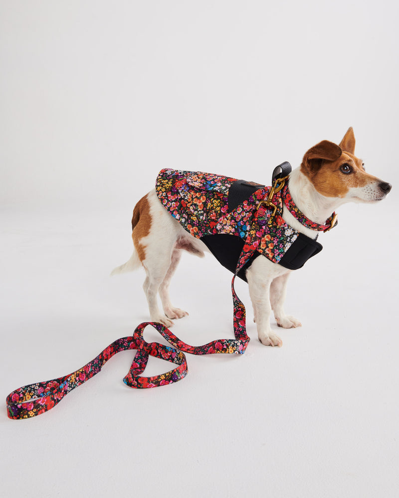 Forever Floral Black Dog Jacket