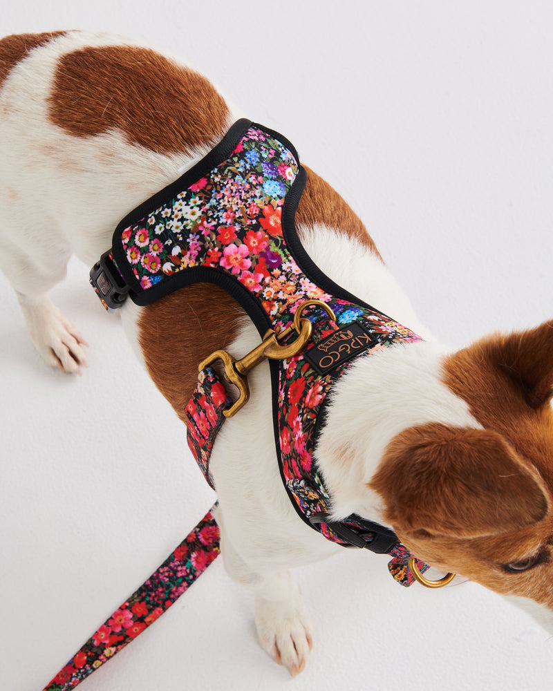 Forever Floral Black Dog Harness