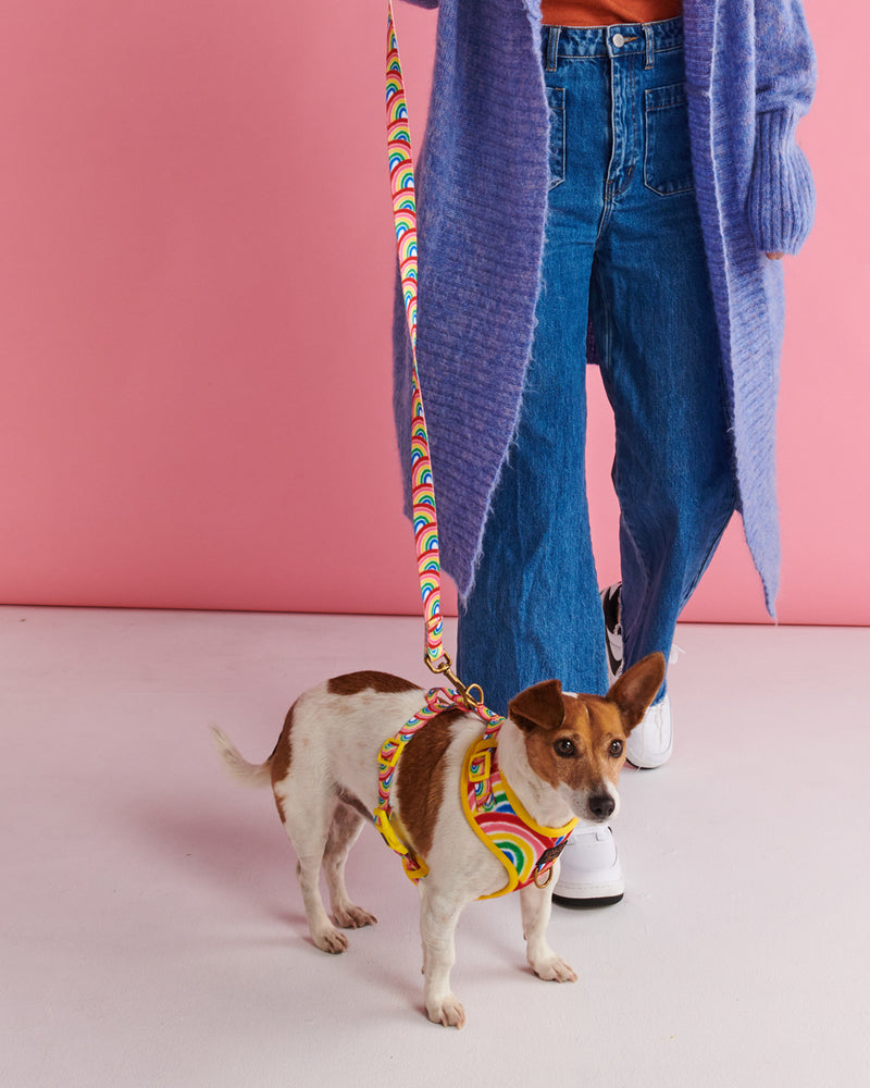 Rainbow Spray Dog Harness