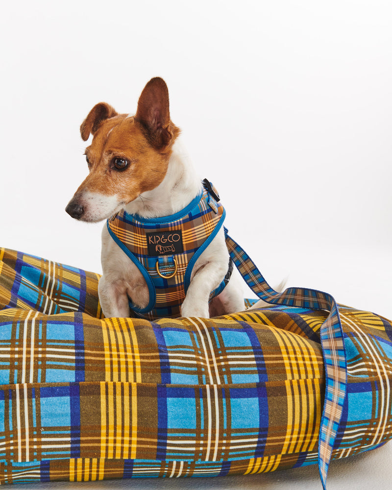 Cosy Tartan Dog Bed