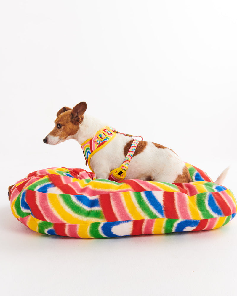 Rainbow Spray Dog Bed