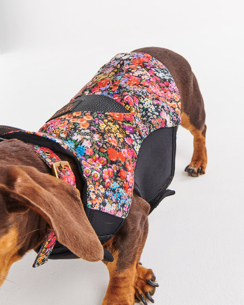 Forever Floral Black Dog Jacket