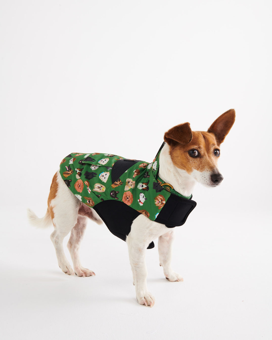 Dog Park Dog Jacket