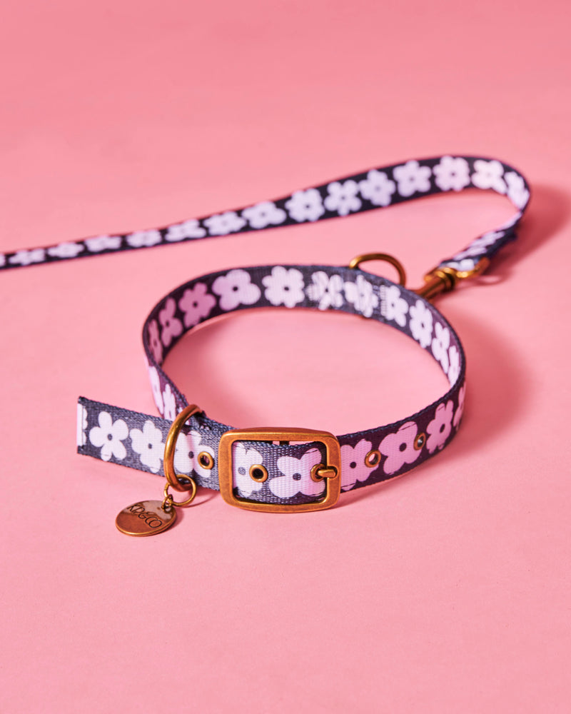 Flower Face Dog Collar