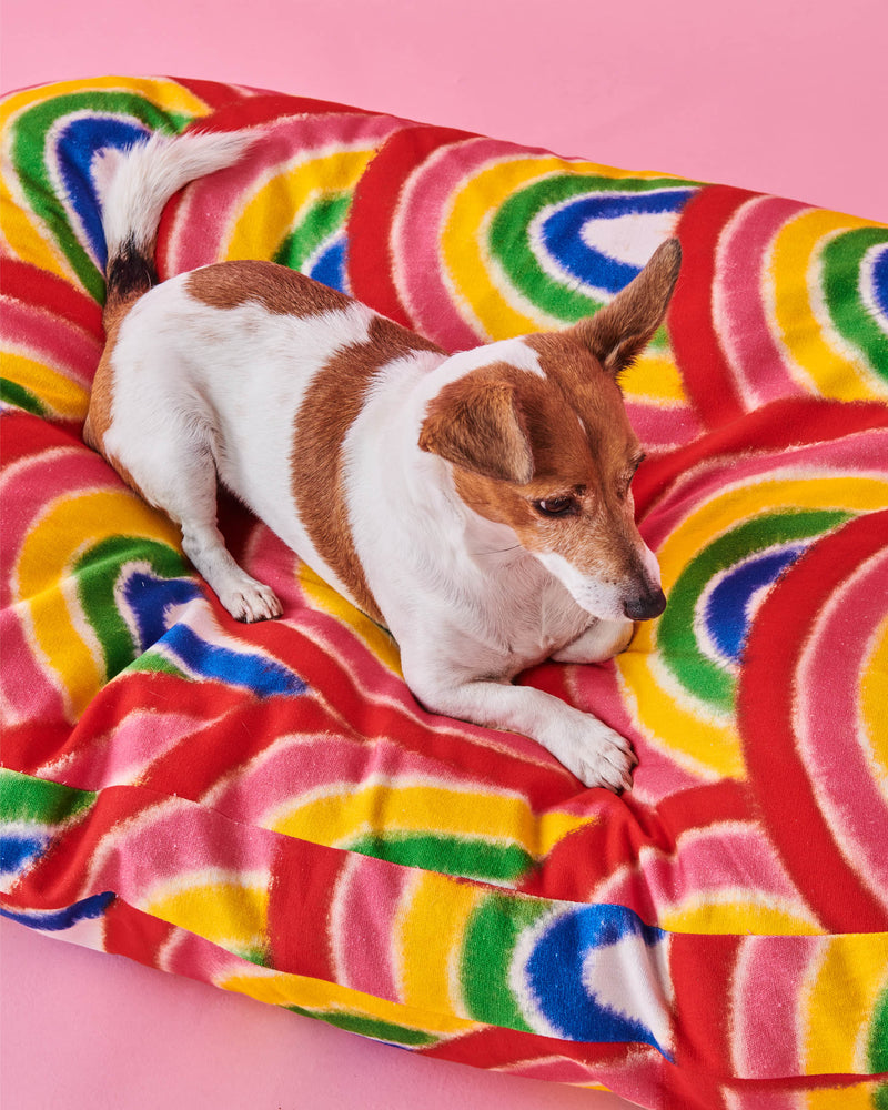 Rainbow Spray Dog Bed