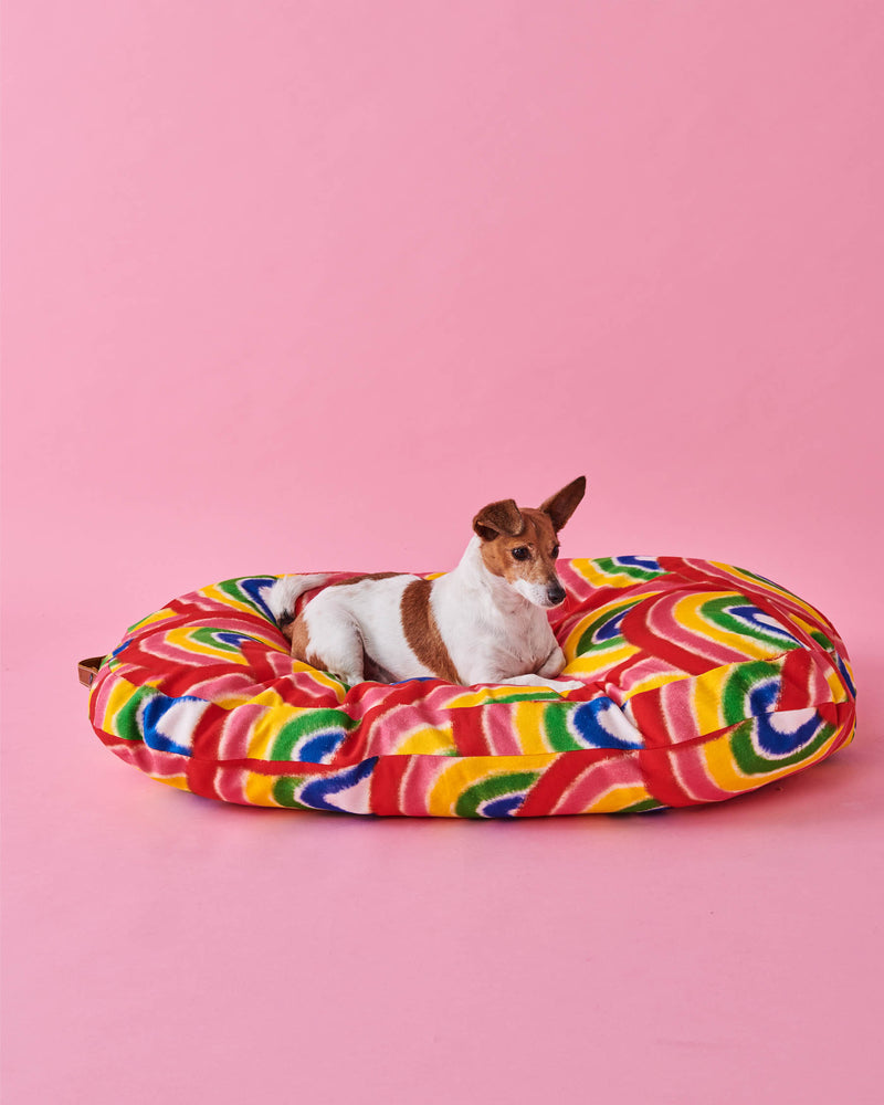 Rainbow Spray Dog Bed