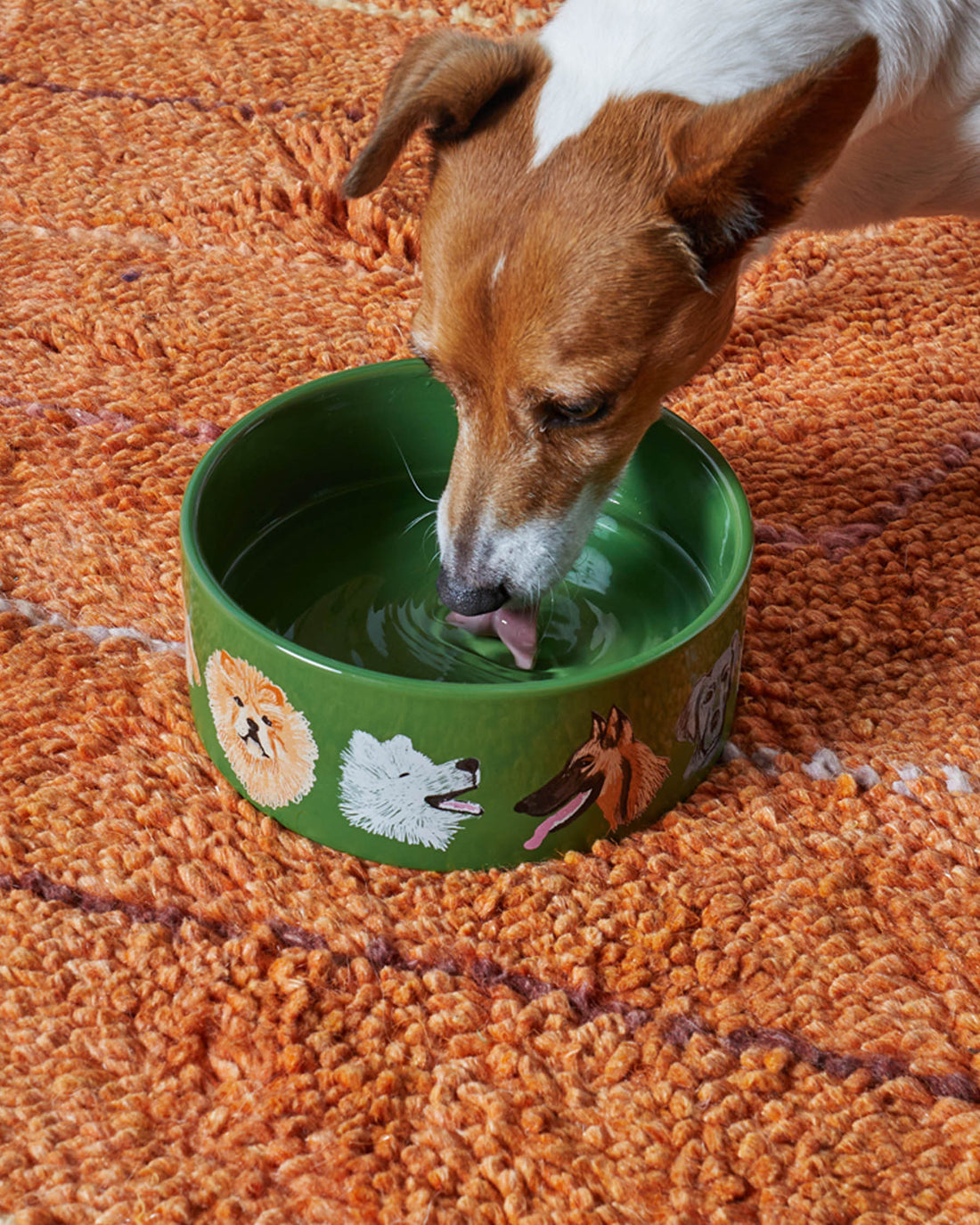 Dog Park Dog Bowl