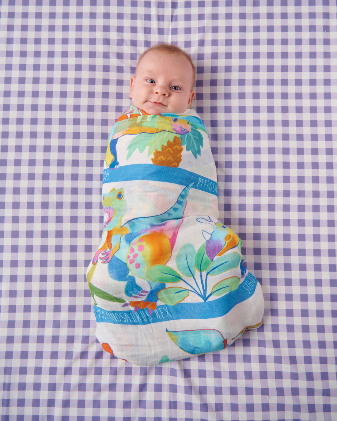 Dino Safari Bamboo Swaddle