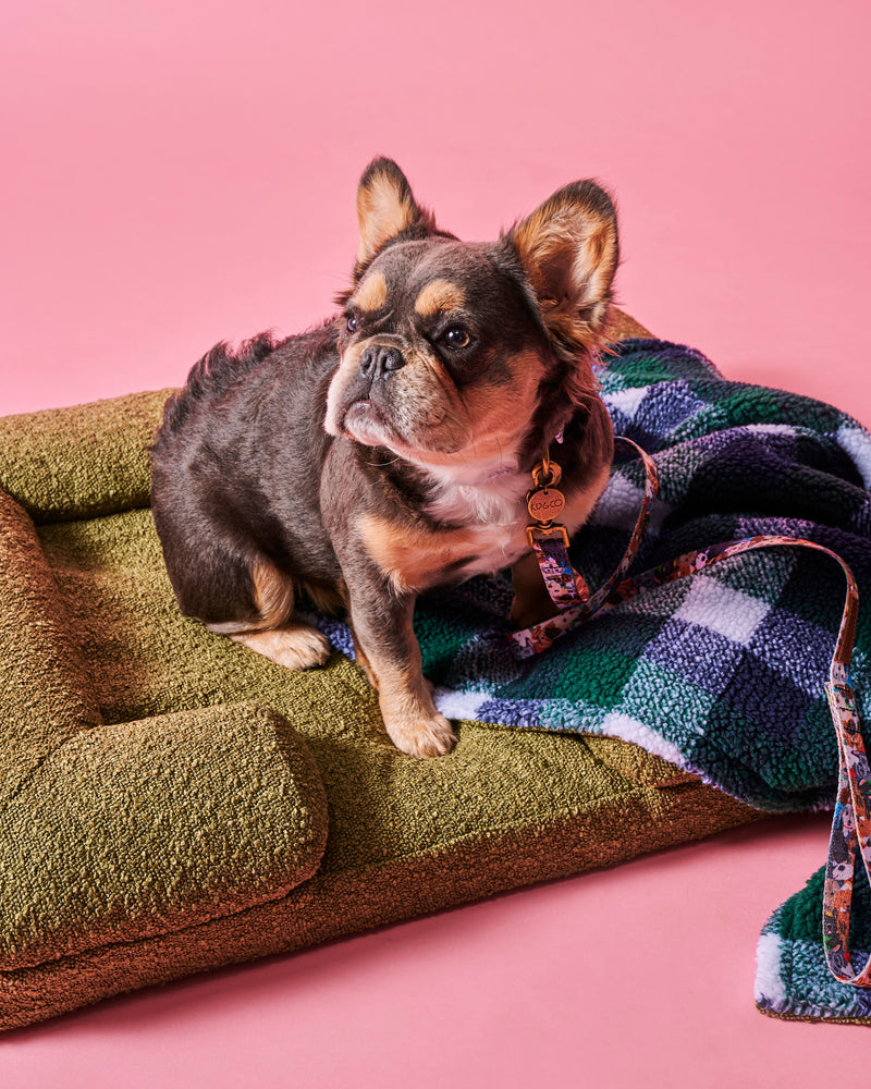 Fred Boucle Sherpa Dog Blanket