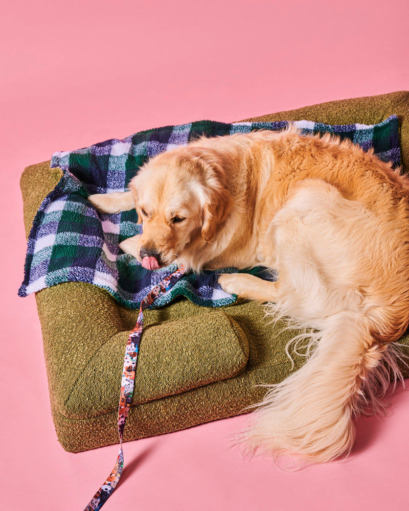 Fred Boucle Dog Bed