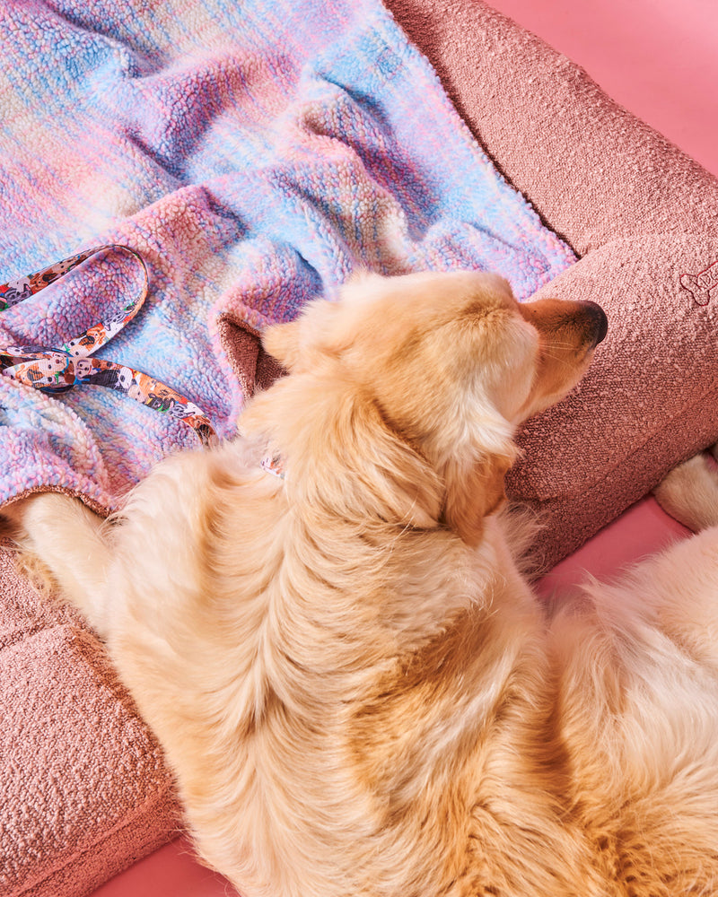 Polly Boucle Sherpa Dog Blanket