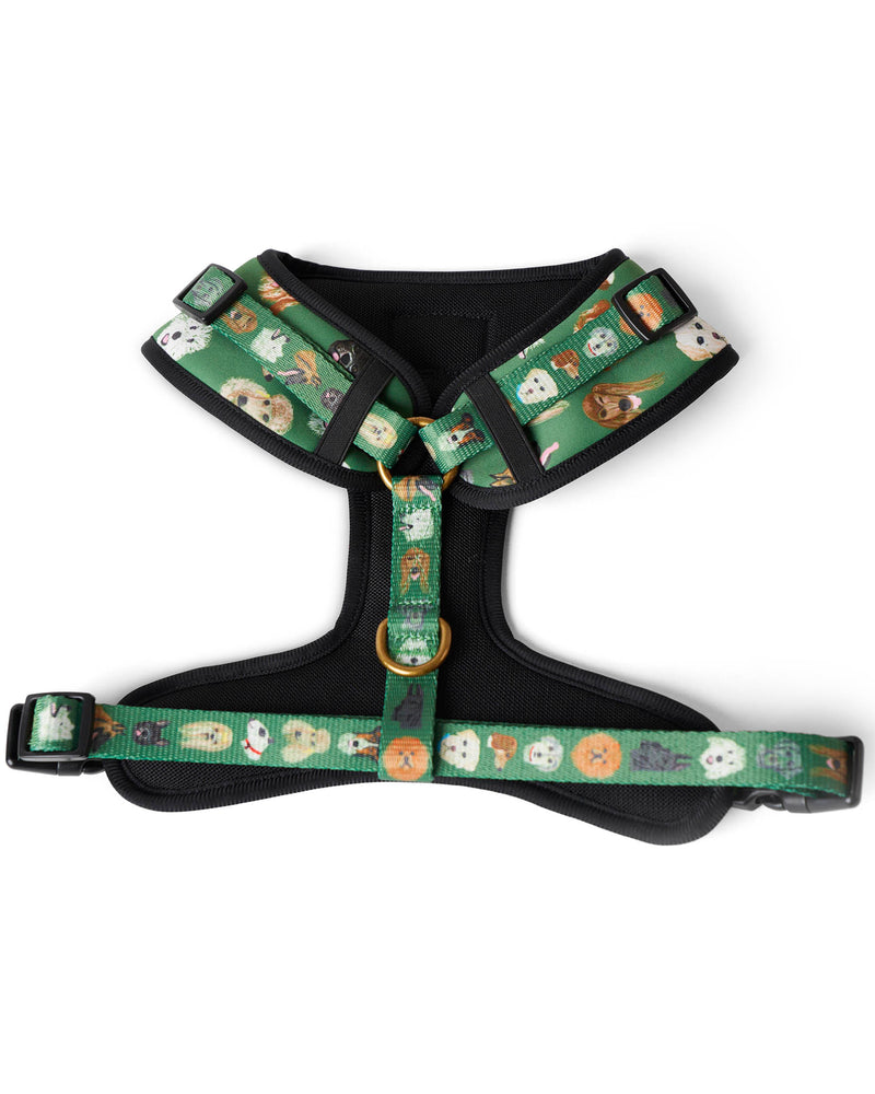 Dog Park Dog Harness