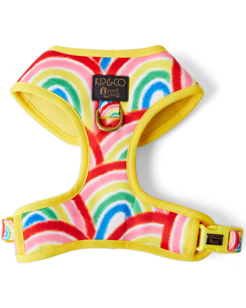 Rainbow Spray Dog Harness