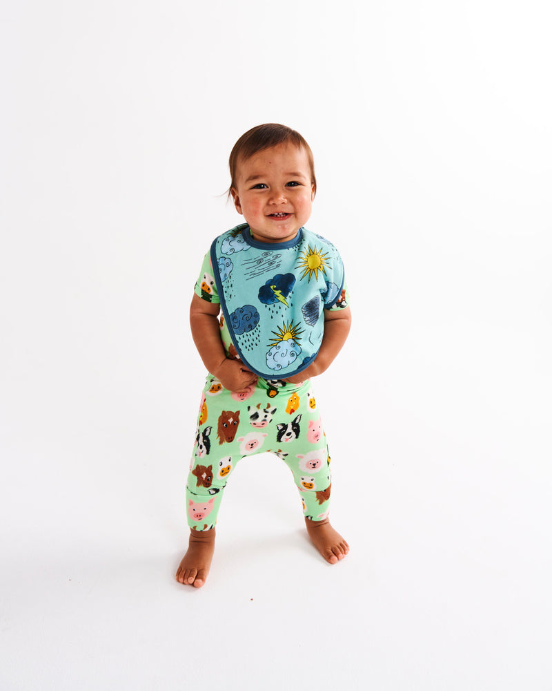 Weather Report Organic Cotton Bib