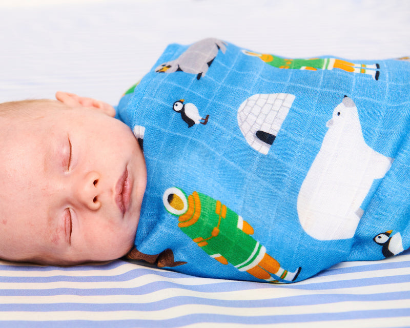 Arctic Circle Bamboo Swaddle