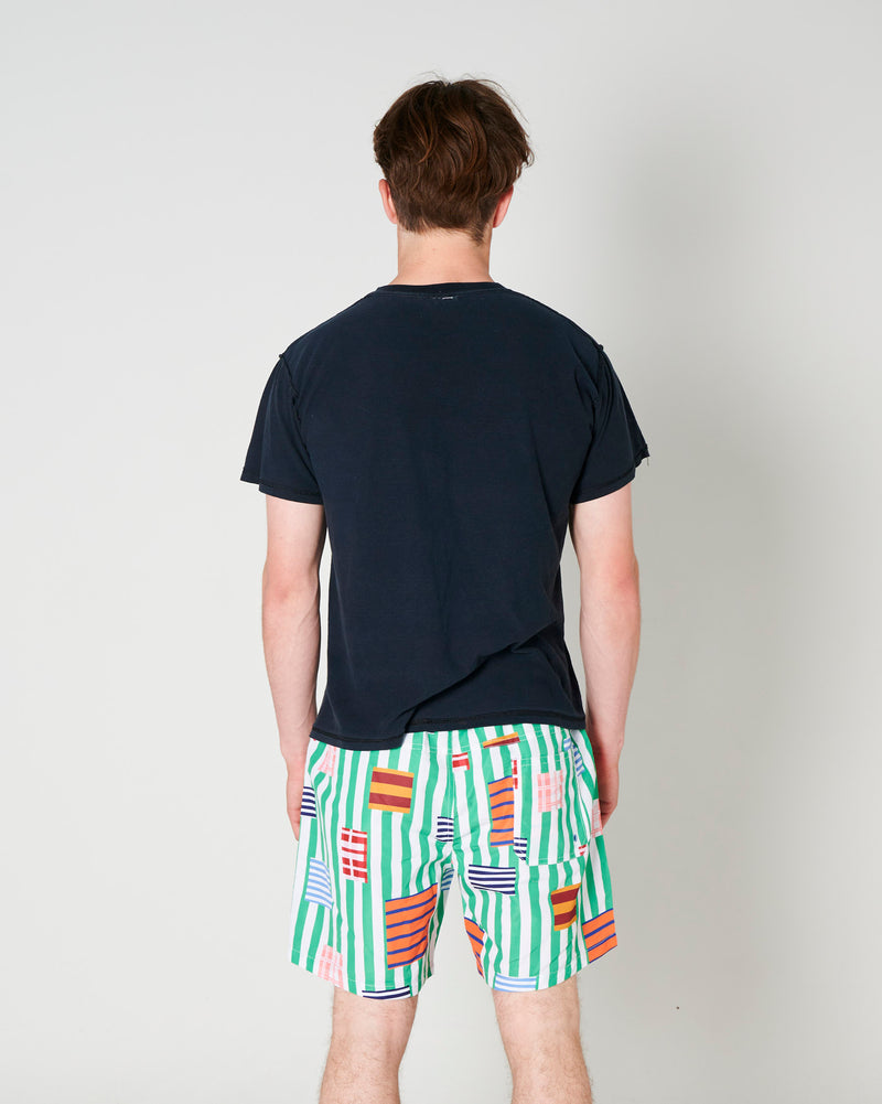 Stripe On Stripe Men's Boardies