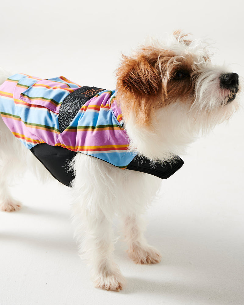 Fez Stripe Dog Jacket