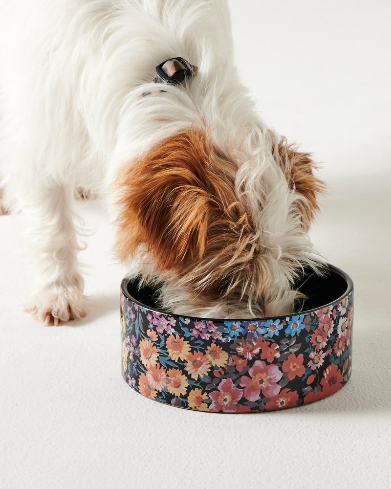 Forever Floral Black Dog Bowl