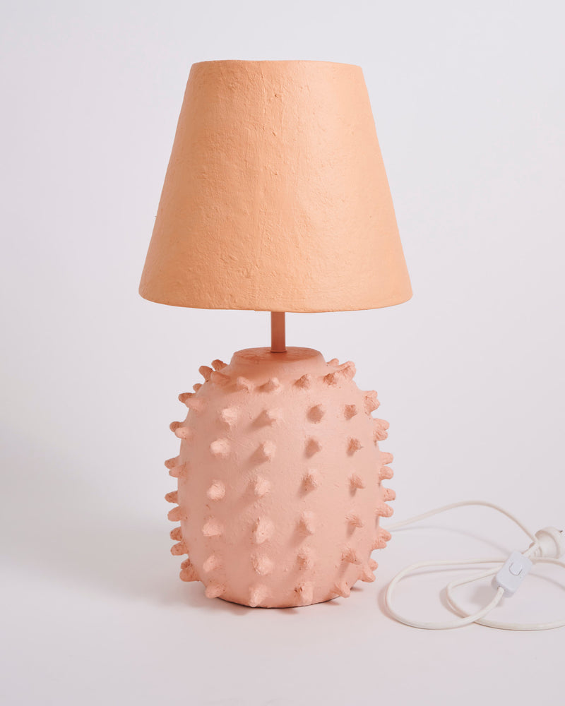 Rambutan Paper Mache Lamp