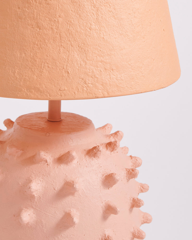 Rambutan Paper Mache Lamp