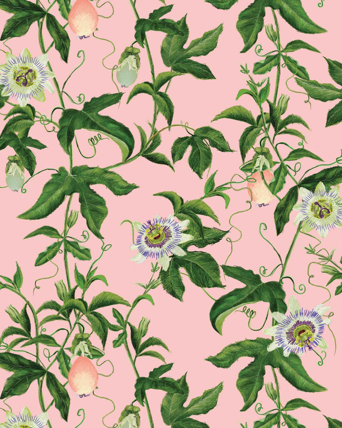 Milton & King x Kip&Co Passion Peach Wallpaper