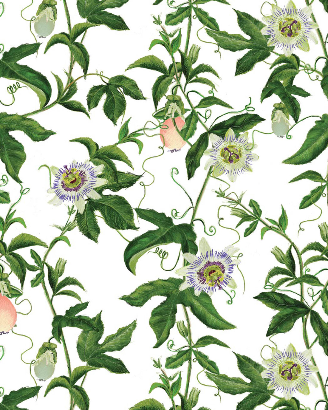 Milton & King x Kip&Co Passion White Wallpaper